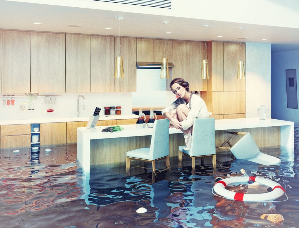 Water Damage Restoration in St. Petersburg, Florida