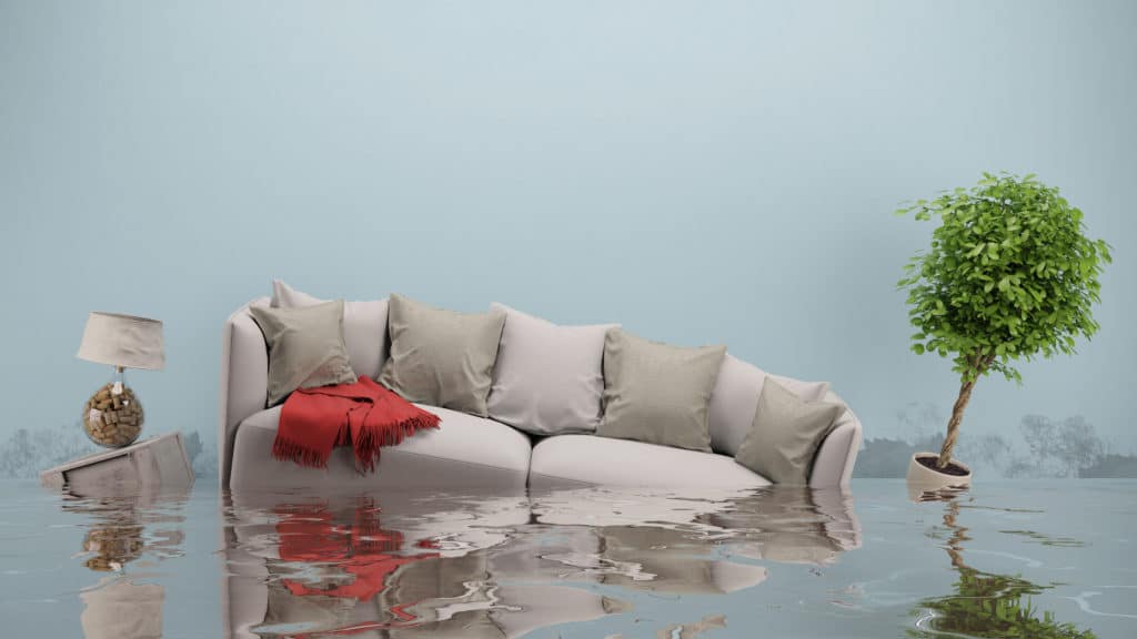 Water Damage Restoration in Redington Beach, Florida